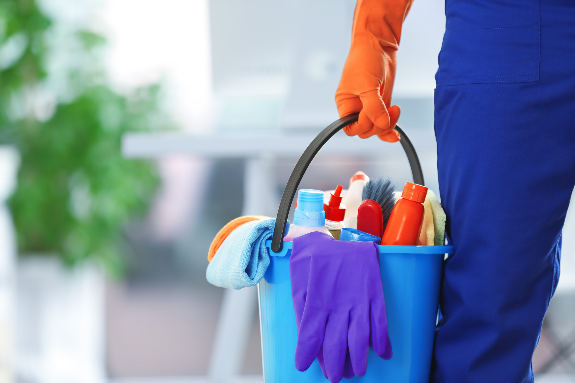 Home Cleaning And Organizing Services