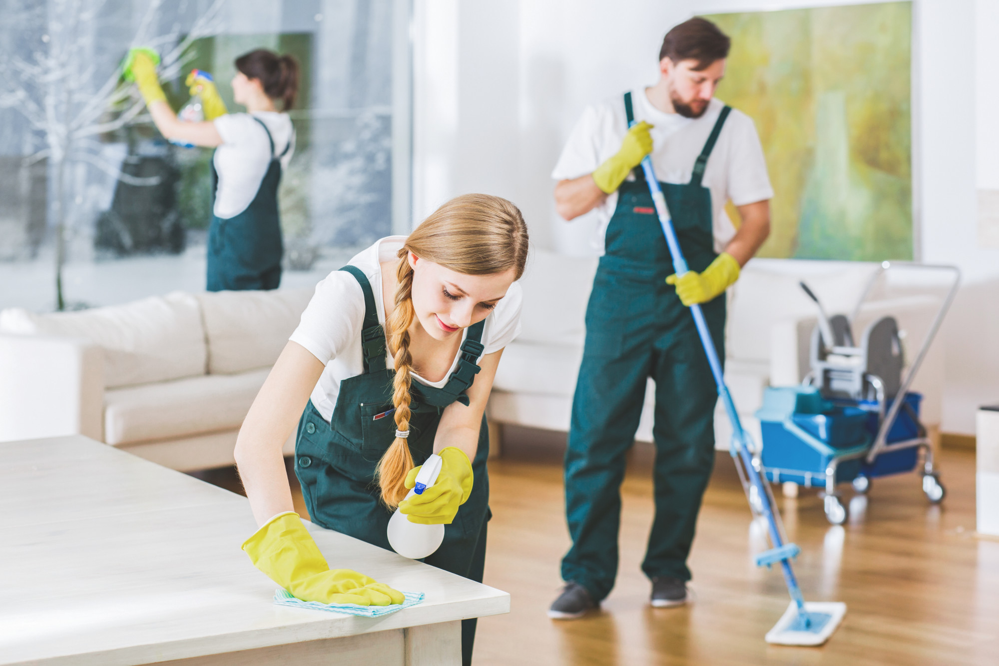 Dirt Busters Cleaning Services Advertisement