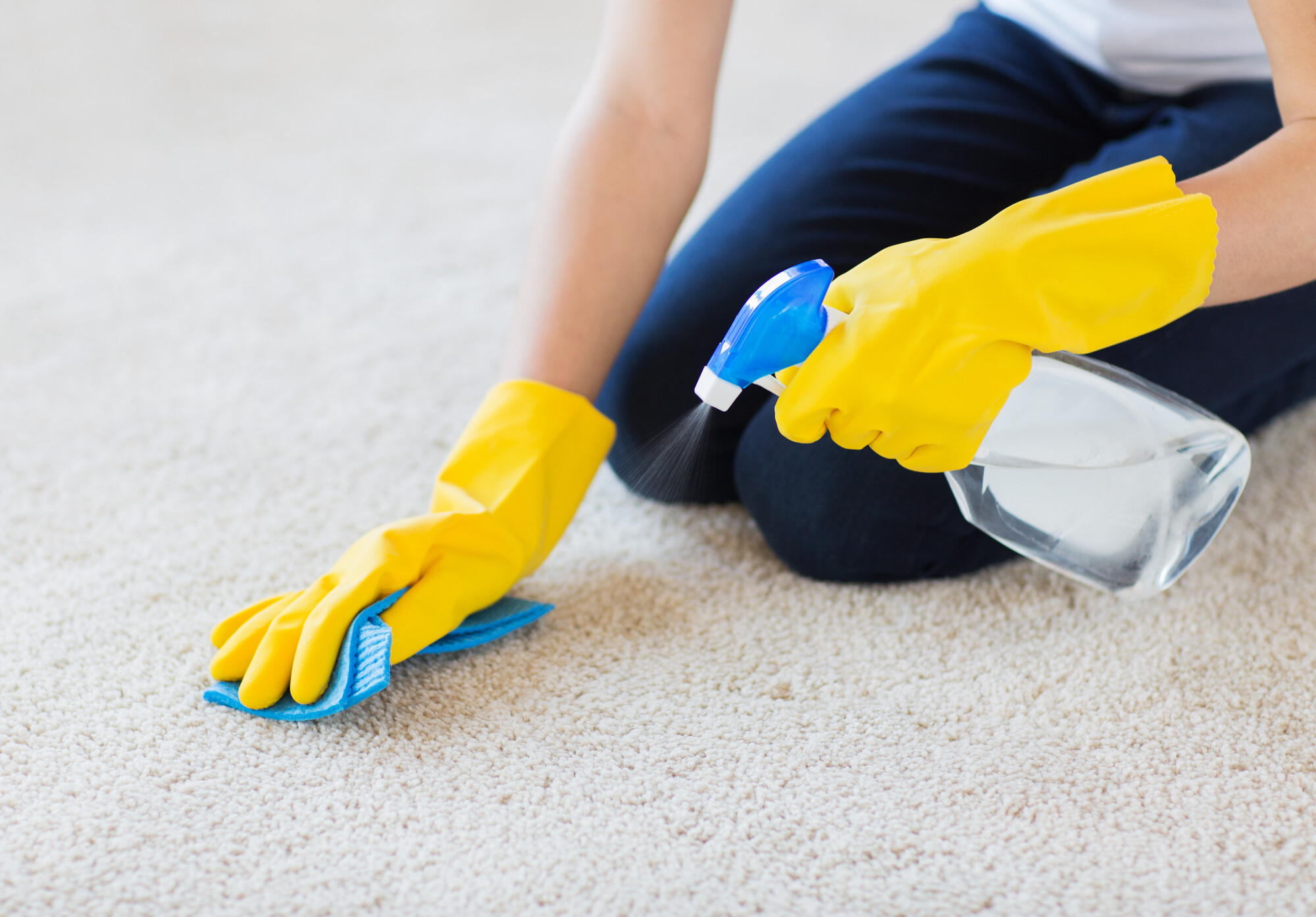 picking carpet cleaning services